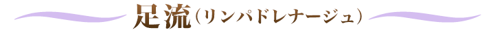 ‘«—¬iƒŠƒ“ƒpƒhƒŒƒi[ƒWƒ…j