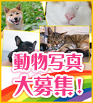 �咍�ځI�o�h�K�V���^�C����՗�