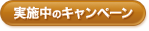 ���g�N�ȏ��
