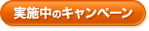 ���g�N�ȏ��